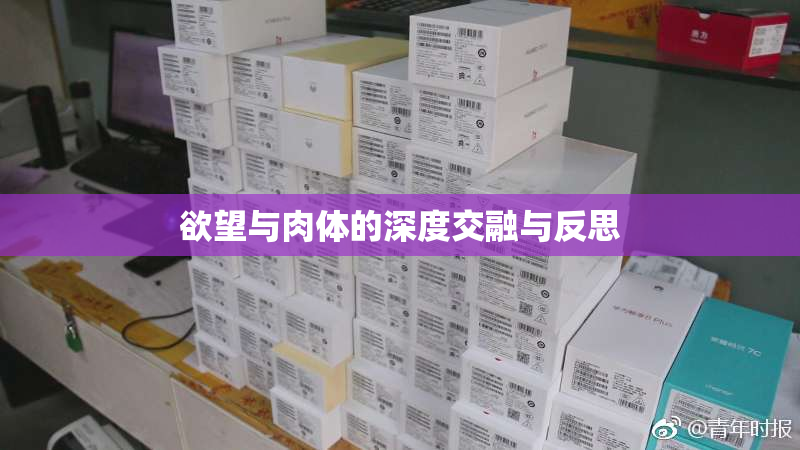 欲望与肉体的深度交融与反思