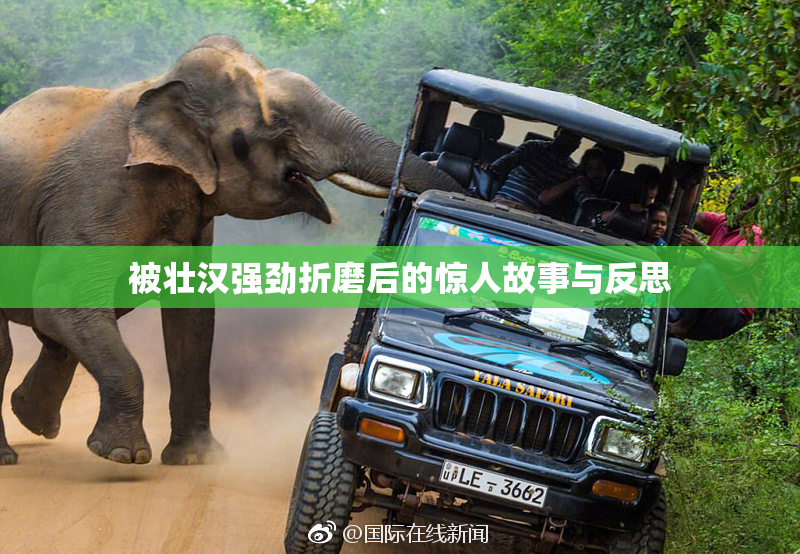 被壮汉强劲折磨后的惊人故事与反思