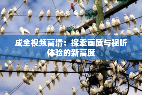 成全视频高清：探索画质与视听体验的新高度