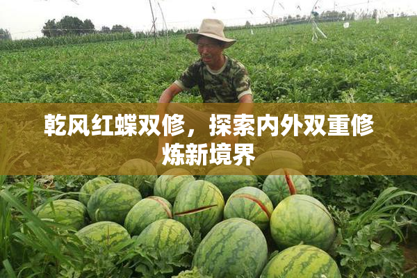 乾风红蝶双修，探索内外双重修炼新境界