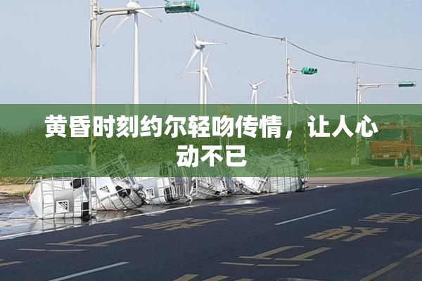 黄昏时刻约尔轻吻传情，让人心动不已