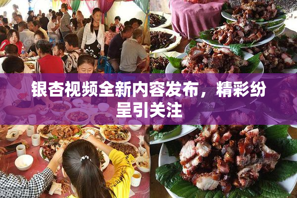 银杏视频全新内容发布，精彩纷呈引关注