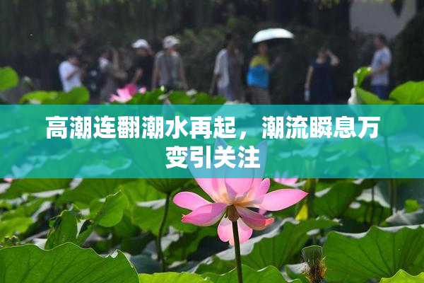高潮连翻潮水再起，潮流瞬息万变引关注