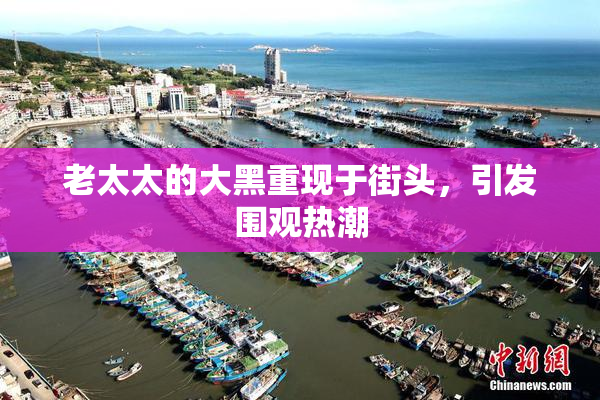 老太太的大黑重现于街头，引发围观热潮