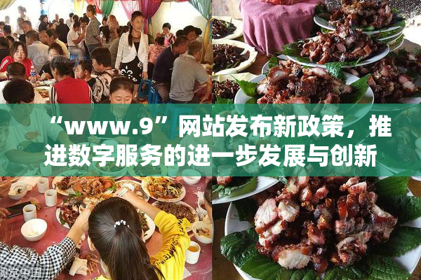 “www.9”网站发布新政策，推进数字服务的进一步发展与创新。