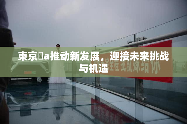 柬京埶a推动新发展，迎接未来挑战与机遇