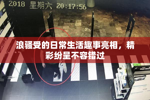 浪骚受的日常生活趣事亮相，精彩纷呈不容错过