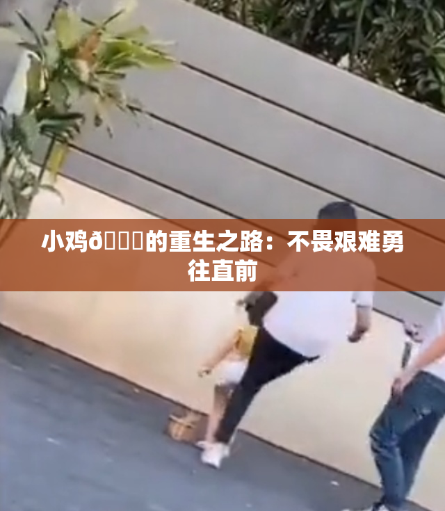 小鸡🐔的重生之路：不畏艰难勇往直前
