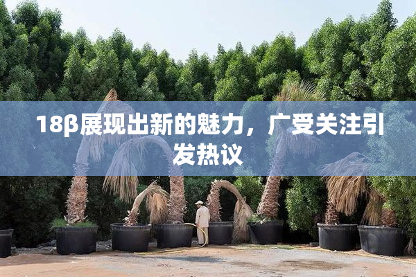 18β展现出新的魅力，广受关注引发热议