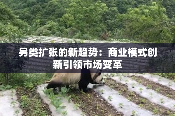 另类扩张的新趋势：商业模式创新引领市场变革
