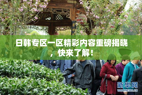 日韩专区一区精彩内容重磅揭晓，快来了解！