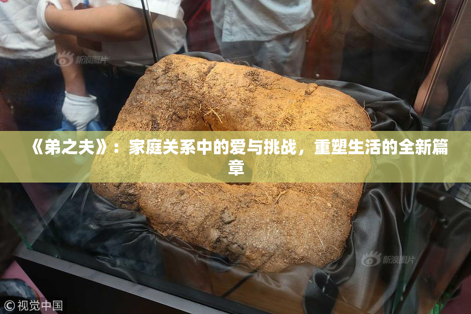 《弟之夫》：家庭关系中的爱与挑战，重塑生活的全新篇章