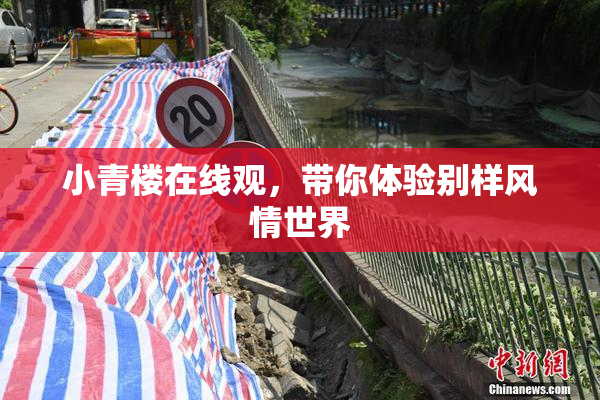 小青楼在线观，带你体验别样风情世界