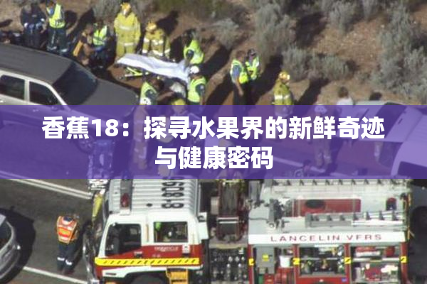 香蕉18：探寻水果界的新鲜奇迹与健康密码