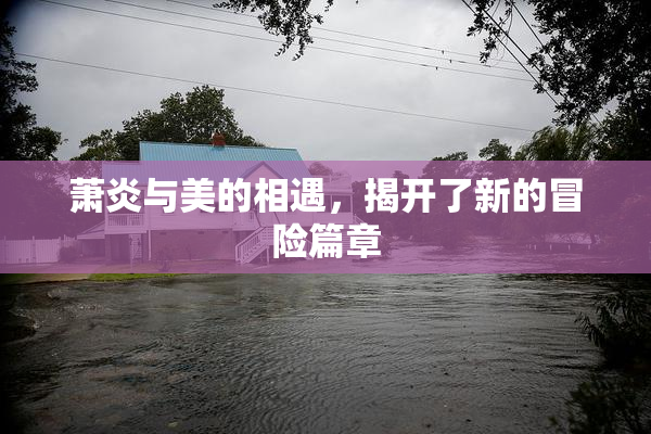 萧炎与美的相遇，揭开了新的冒险篇章
