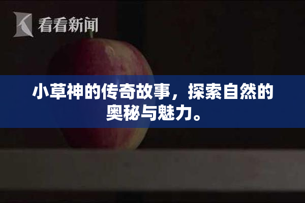 小草神的传奇故事，探索自然的奥秘与魅力。