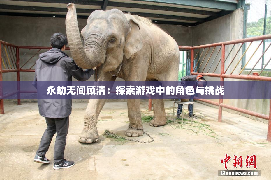 永劫无间顾清：探索游戏中的角色与挑战