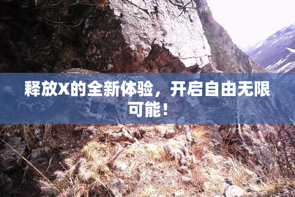 释放X的全新体验，开启自由无限可能！