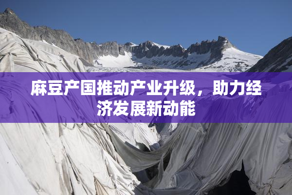 麻豆产国推动产业升级，助力经济发展新动能