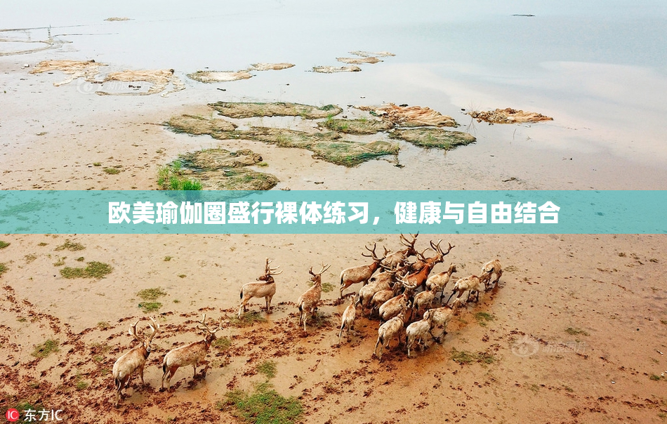 欧美瑜伽圈盛行裸体练习，健康与自由结合