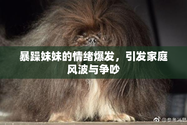 暴躁妹妹的情绪爆发，引发家庭风波与争吵