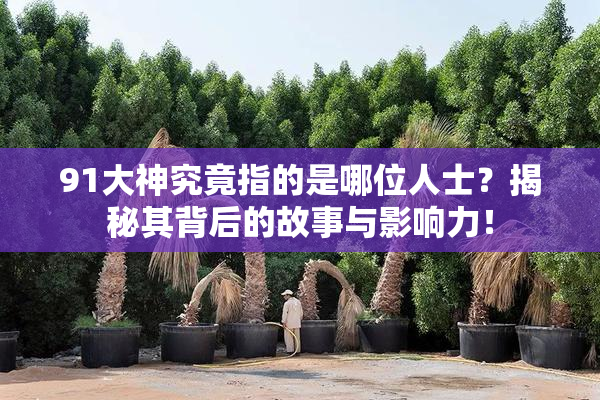 91大神究竟指的是哪位人士？揭秘其背后的故事与影响力！