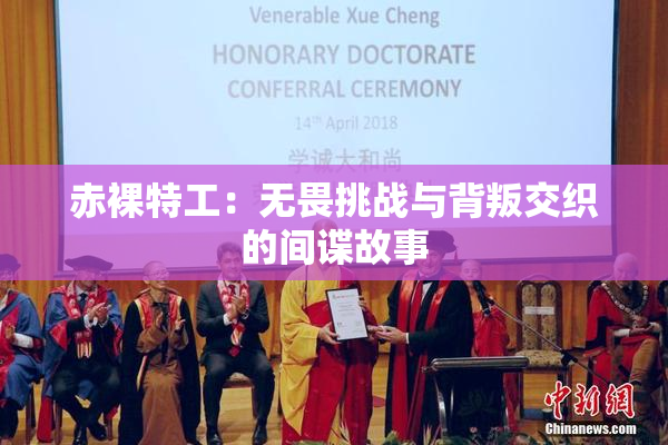 赤裸特工：无畏挑战与背叛交织的间谍故事