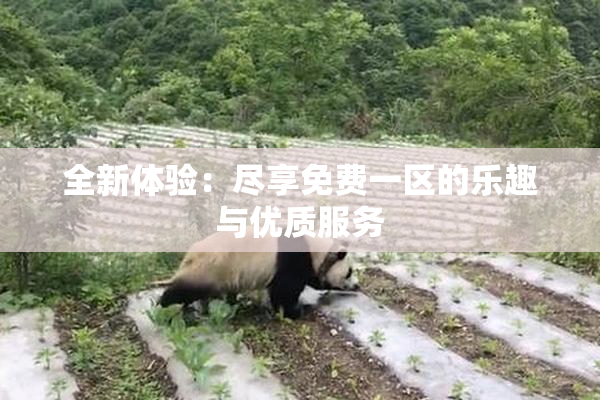 全新体验：尽享免费一区的乐趣与优质服务