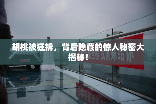 胡桃被狂拆，背后隐藏的惊人秘密大揭秘！