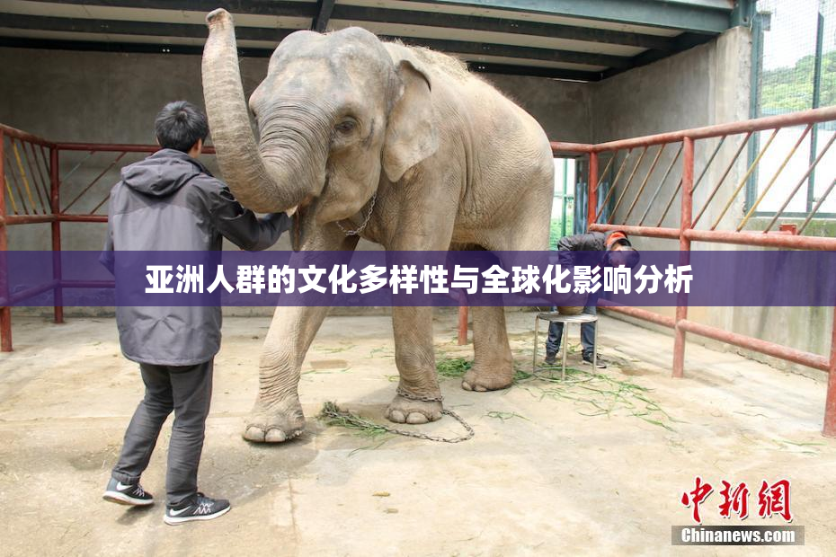 亚洲人群的文化多样性与全球化影响分析