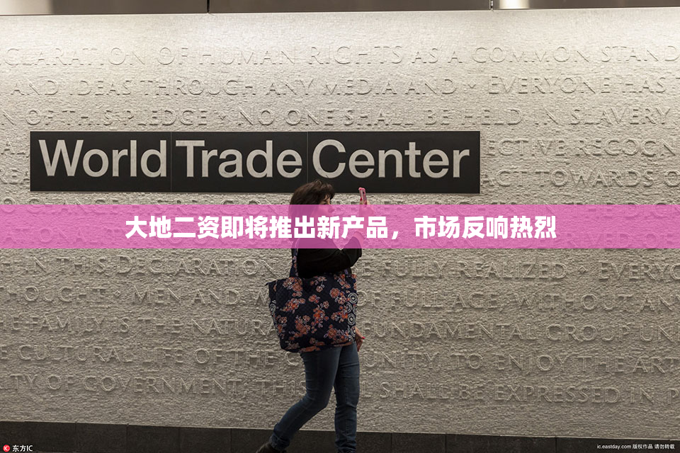 大地二资即将推出新产品，市场反响热烈