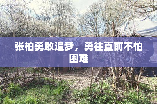张柏勇敢追梦，勇往直前不怕困难