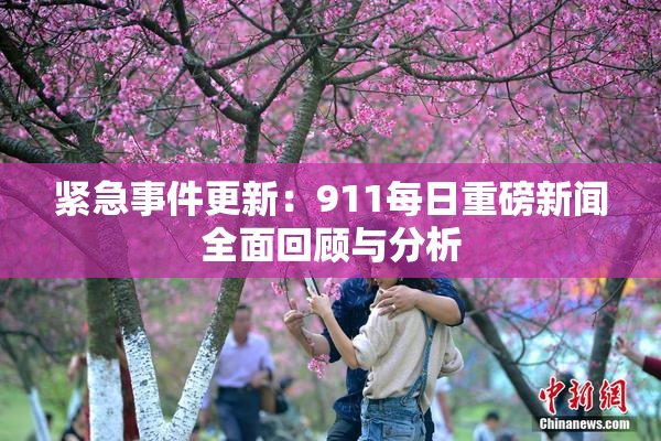紧急事件更新：911每日重磅新闻全面回顾与分析