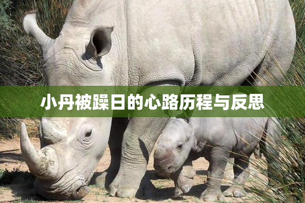 小丹被躁日的心路历程与反思