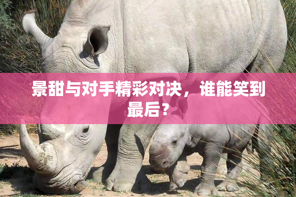 景甜与对手精彩对决，谁能笑到最后？