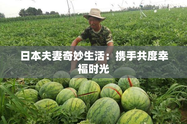 日本夫妻奇妙生活：携手共度幸福时光