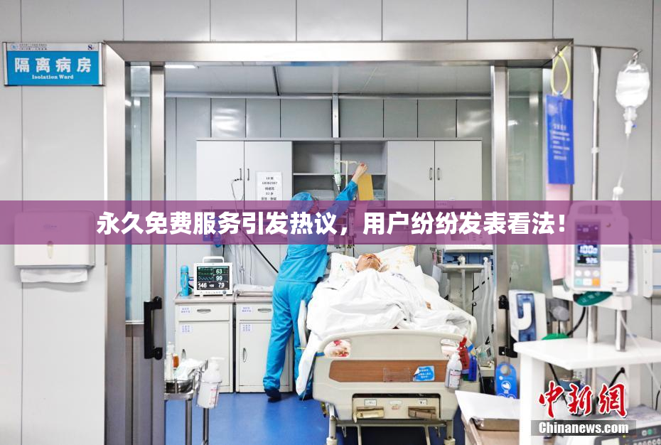 永久免费服务引发热议，用户纷纷发表看法！