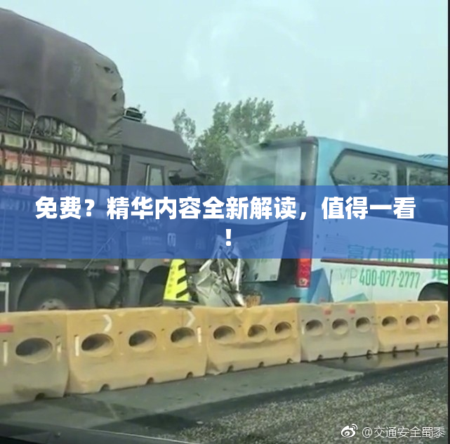 免费？精华内容全新解读，值得一看！