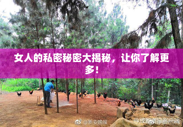 女人的私密秘密大揭秘，让你了解更多！