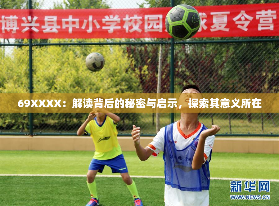 69ΧΧΧΧ：解读背后的秘密与启示，探索其意义所在