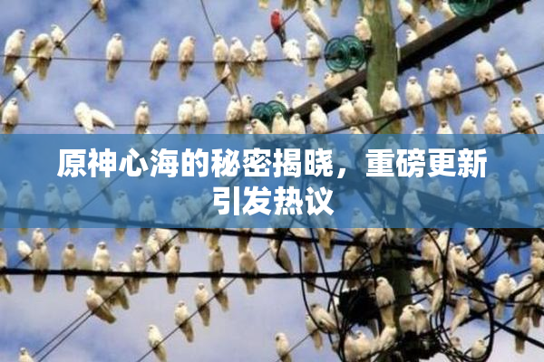 原神心海的秘密揭晓，重磅更新引发热议