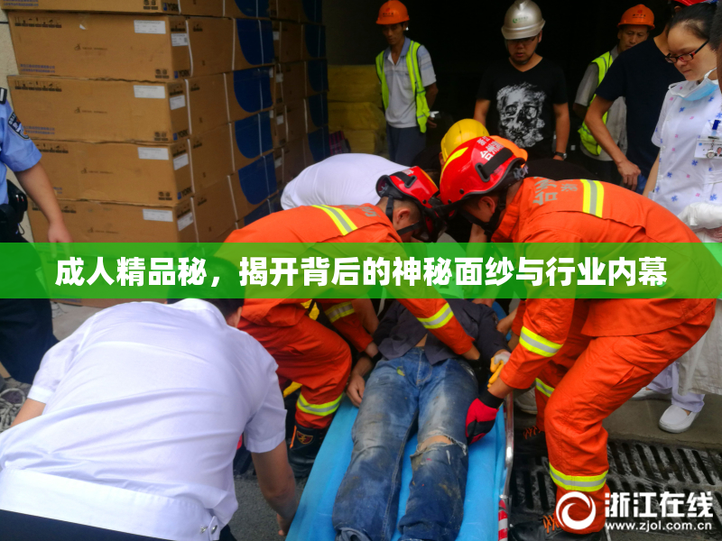 成人精品秘，揭开背后的神秘面纱与行业内幕
