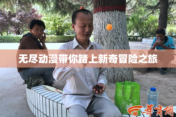 无尽动漫带你踏上新奇冒险之旅