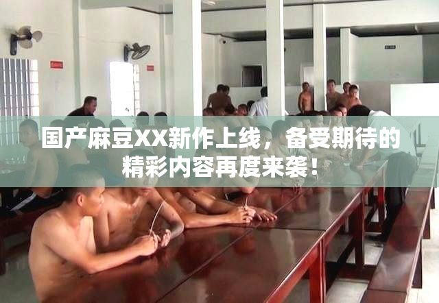 国产麻豆XX新作上线，备受期待的精彩内容再度来袭！