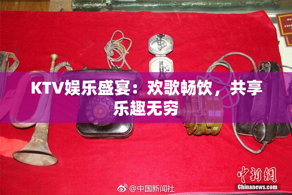 KTV娱乐盛宴：欢歌畅饮，共享乐趣无穷