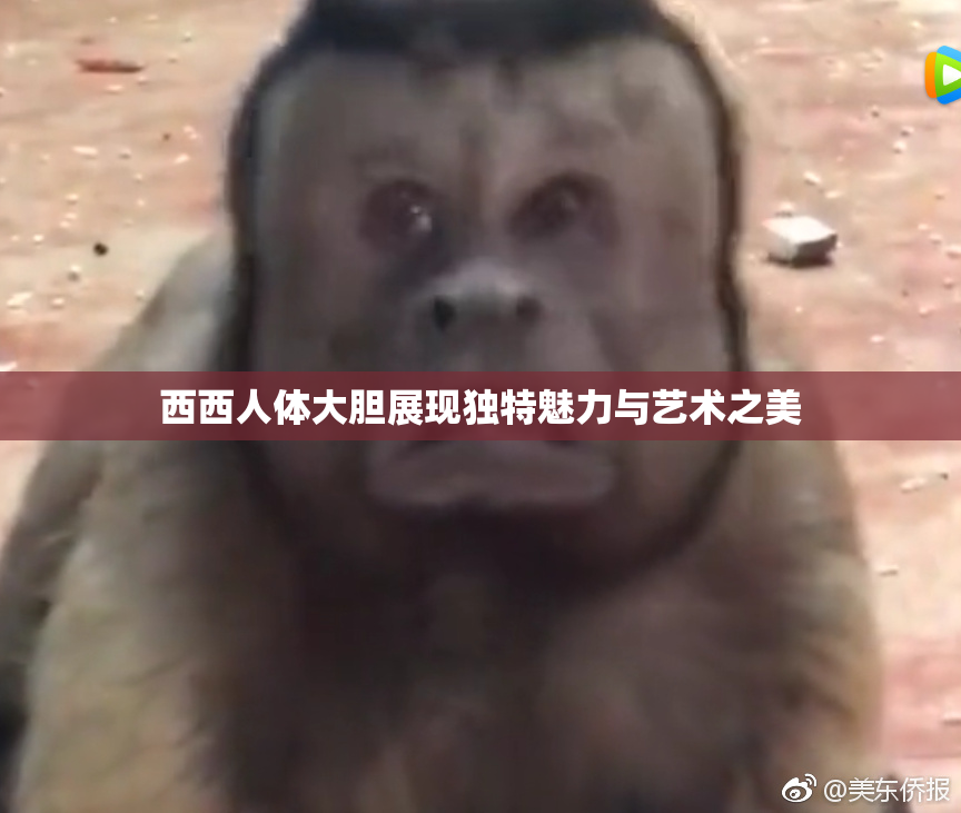 西西人体大胆展现独特魅力与艺术之美