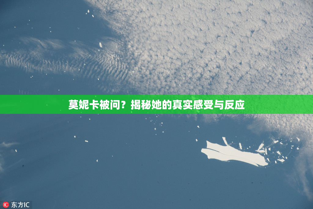 莫妮卡被问？揭秘她的真实感受与反应