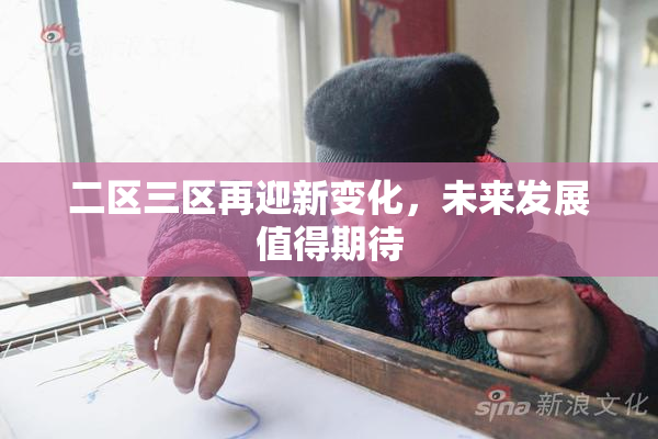 二区三区再迎新变化，未来发展值得期待