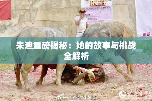 朱迪重磅揭秘：她的故事与挑战全解析