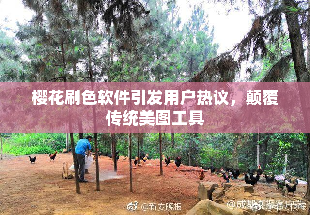 樱花刷色软件引发用户热议，颠覆传统美图工具